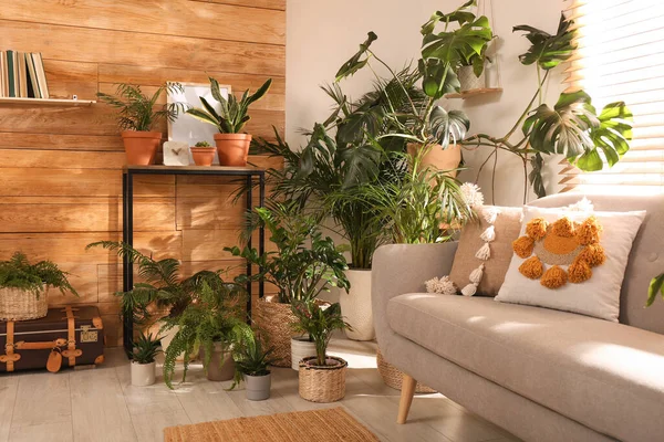 Chambre Élégante Avec Belles Plantes Mur Bois Design Intérieur — Photo