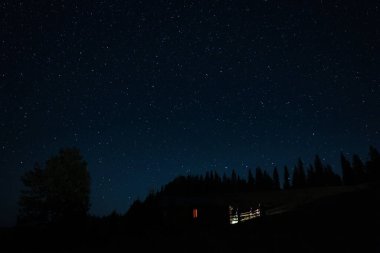 Geceleri yıldızlı gökyüzünün altında karanlık ormanın yakınındaki güzel bir ev manzarası.