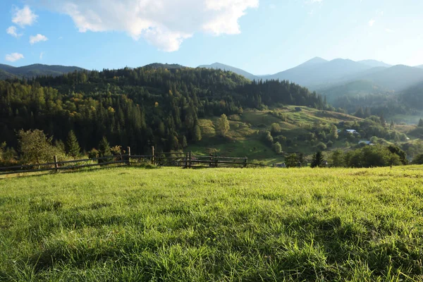 Hermoso Paisaje Con Pastos Verdes Colina Montaña Mañana — Foto de Stock