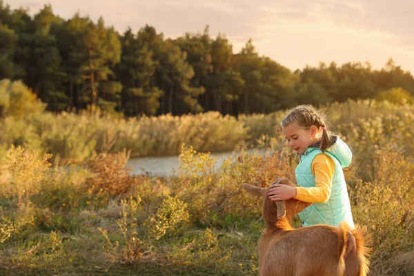 Çiftlik Hayvanı Çayırda Keçisi Olan Tatlı Küçük Kız Mesaj Için — Stok fotoğraf