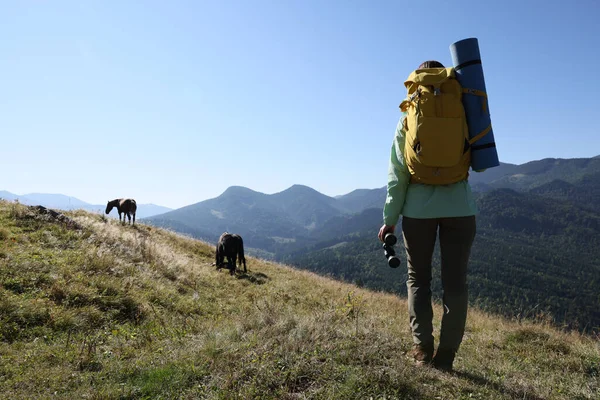 Toerist Met Rugzak Verrekijker Genietend Van Landschap Bergen Zonnige Dag — Stockfoto