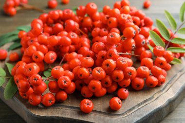 Taze olgun yaban mersini ve yapraklar tahtada, yakın plan.