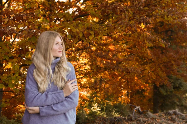 Portret Pięknej Młodej Kobiety Jesiennym Lesie Miejsce Tekst — Zdjęcie stockowe
