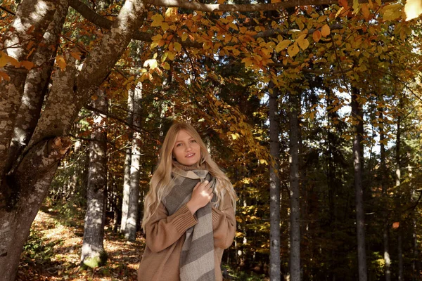 Porträtt Vacker Ung Kvinna Höst Skog — Stockfoto