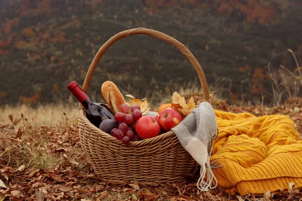 Rieten Picknickmand Met Wijn Snacks Ruitjes Natuur Herfstdag — Stockfoto