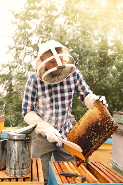 Пчеловод Чистит Пчел Рамы Улья Пасеке Сбор Меда — стоковое фото