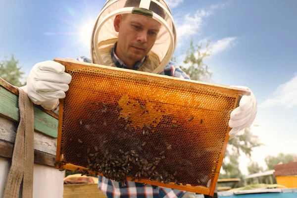 Пчеловод Ульем Пасеке Сбор Меда — стоковое фото