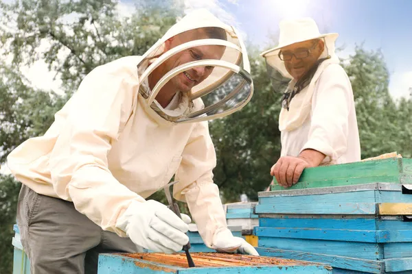 養蜂家で均一な収穫蜂蜜にApiary — ストック写真