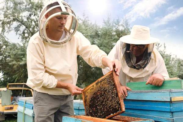 Пчеловоды Форме Собирают Мед Пасеке — стоковое фото