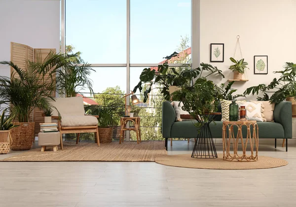 Стильный Интерьер Комнаты Удобной Мебелью Различными Экзотическими Комнатными Растениями — стоковое фото