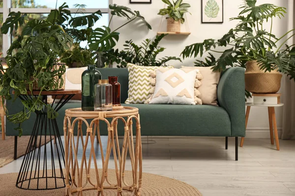 Stijlvol Interieur Met Comfortabele Bank Verschillende Exotische Kamerplanten — Stockfoto