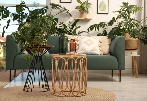 Interior Elegante Quarto Com Sofá Confortável Diferentes Plantas Sala Exóticas — Fotografia de Stock