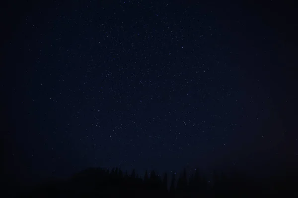 Hermosa Vista Del Cielo Estrellado Sobre Bosque Oscuro Por Noche — Foto de Stock