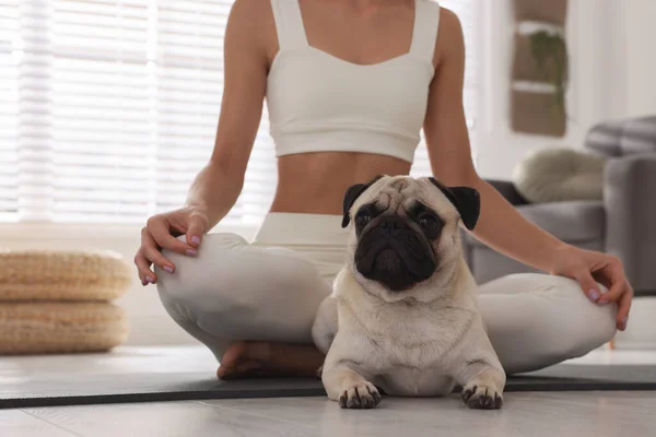 Vrouw Met Hond Oefenen Yoga Thuis Close — Stockfoto