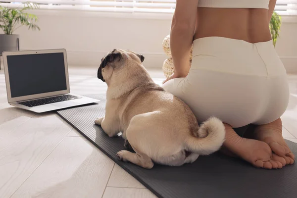 Vrouw Met Hond Kijken Online Yoga Klasse Thuis Close — Stockfoto