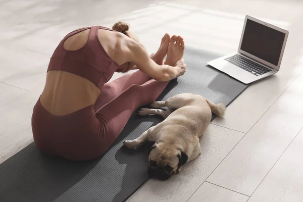 Femme Avec Chien Suivant Cours Yoga Ligne Maison Vue Arrière — Photo