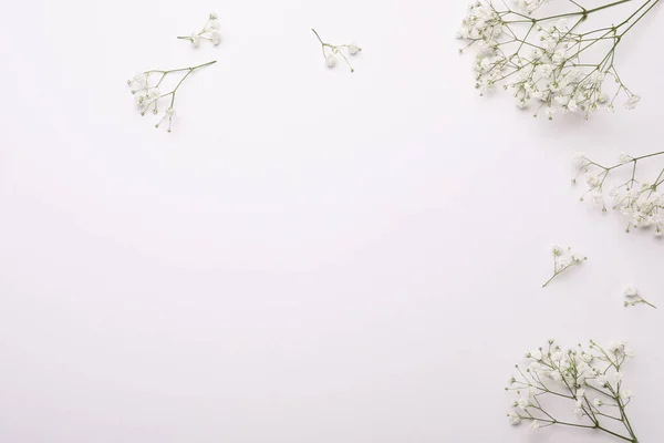 Hermosas Flores Gypsophila Sobre Fondo Blanco Planas Espacio Para Texto — Foto de Stock