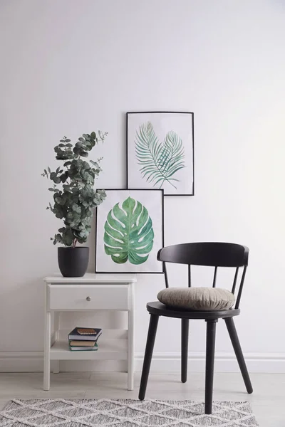 Intérieur Élégant Chambre Avec Chaise Belles Peintures Plante Eucalyptus Pot — Photo