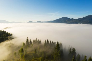 Dağlarda kalın sis ve orman olan güzel bir manzara. Drone fotoğrafçılığı