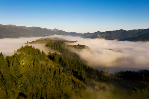Krásná Krajina Hustou Mlhou Lesy Horách Fotografie Dronů — Stock fotografie