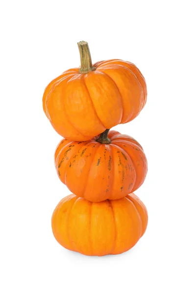 Stack Fresh Ripe Pumpkins White Background — Stock Photo, Image