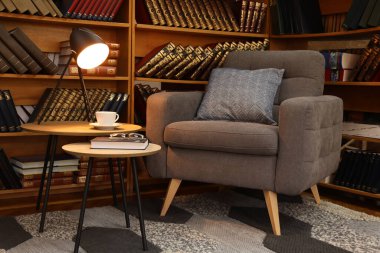 Rahat koltuk ve raflarda antika kitap koleksiyonuyla ev kütüphanesi iç mimarisi