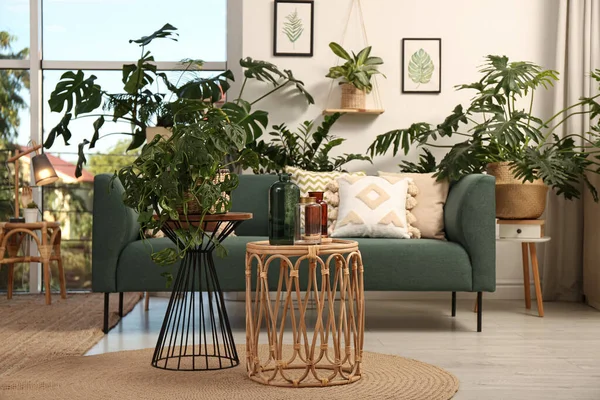 快適なソファと異なるエキゾチックな植物とスタイリッシュな部屋のインテリア — ストック写真