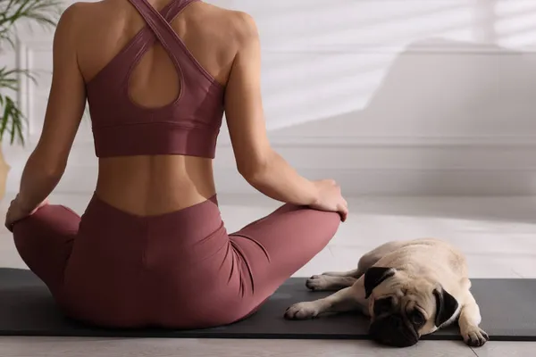Vrouw Met Hond Oefenen Yoga Thuis Close — Stockfoto