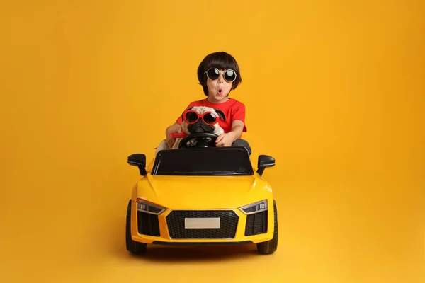 Kleine Jongen Met Zijn Hond Speelgoed Auto Gele Achtergrond — Stockfoto