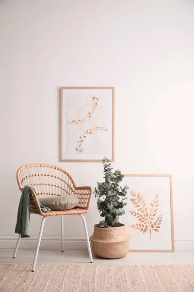 Fauteuil Osier Belles Peintures Plante Eucalyptus Pot Près Mur Lumière — Photo