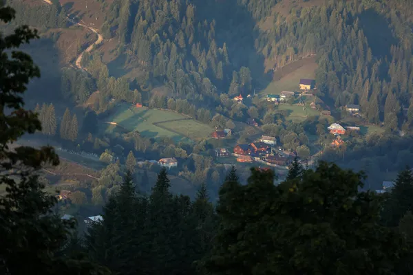 Beautiful View Forest Village Valley Sunny Day — Stock Photo, Image