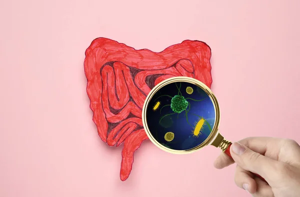 Mikroorganismforskning Kvinna Med Förstoringsglas Och Papper Tarm Cutout Rosa Bakgrund — Stockfoto