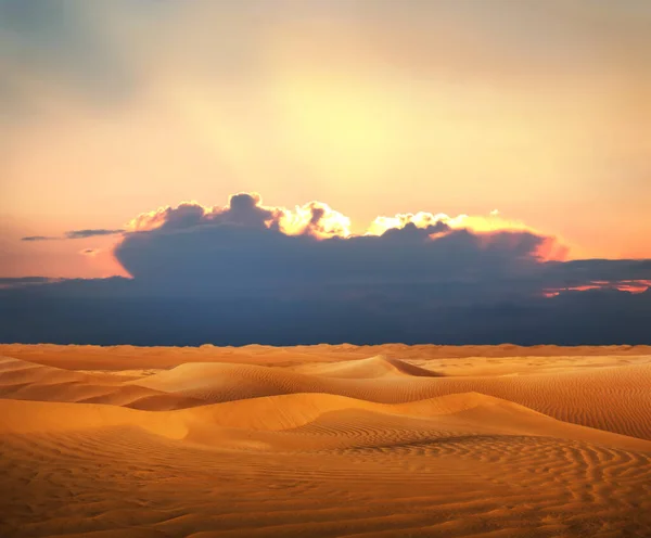 Bella Vista Del Deserto Sabbioso Tramonto — Foto Stock