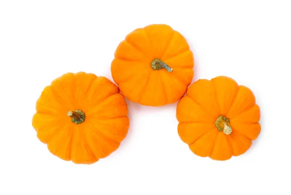 Fresh Ripe Pumpkins White Background Top View — Stock Photo, Image