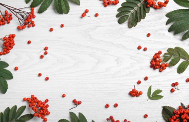 Taze olgun kızılcık böğürtlenleri ve beyaz ahşap masa üzerinde yeşil yapraklardan oluşan bir çerçeve. Metin için boşluk