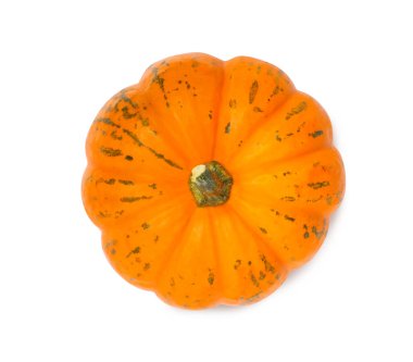 Taze olgun balkabağı beyazda izole edilmiş, üst manzara