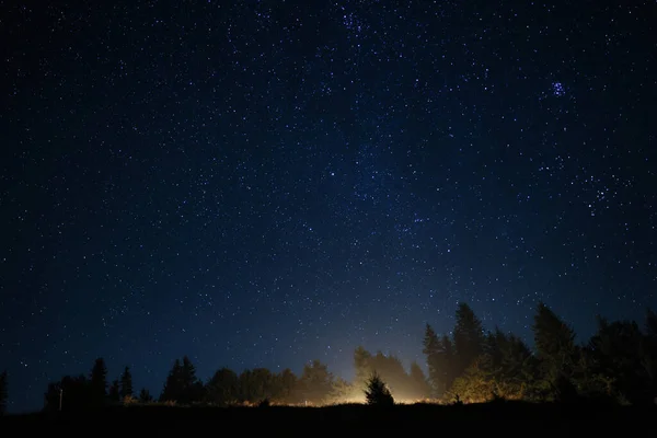 Gyönyörű Kilátás Sötét Erdő Alatt Csillagos Éjjel — Stock Fotó