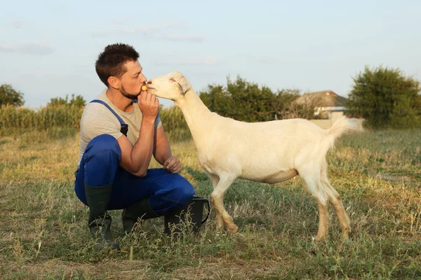 Man Feeding Goat Farm Animal Husbandry — Stock Photo, Image