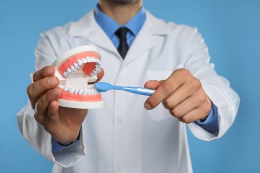 Çene modeli ve açık mavi arka planda diş fırçası olan dişçi, yakın plan. Oral bakım gösterisi