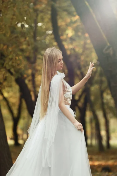 Красивая Девушка Сказочном Платье Осеннем Лесу — стоковое фото