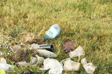 Çimlere saçılmış çöp. Çevre kirliliği sorunu