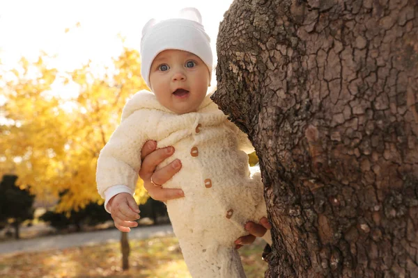 Padre Che Tiene Sua Bambina Vicino All Albero Nel Parco — Foto Stock