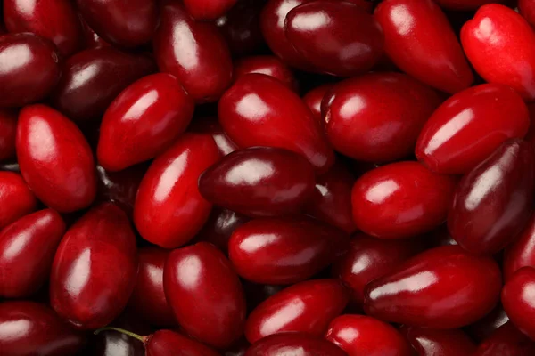 Frische Reife Hartriegelbeeren Als Hintergrund Draufsicht — Stockfoto