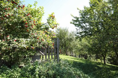 Güneşli bir günde bahçeli kırsal alanın güzel manzarası