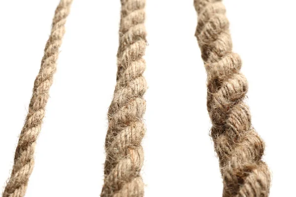 白い背景に麻のロープのセット クローズアップ — ストック写真