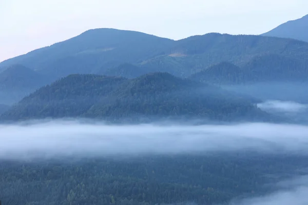 Piękny Widok Mgliste Góry Pokryte Lasem — Zdjęcie stockowe