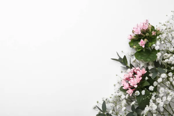 Beyaz Arka Planda Çingene Çiçekleri Olan Güzel Bir Çiçek Kompozisyonu — Stok fotoğraf