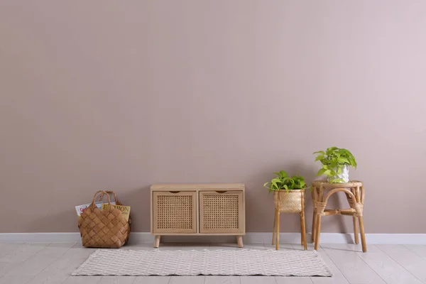 Elegante Raumausstattung Mit Holzschrank Und Schönen Zimmerpflanzen Der Nähe Der — Stockfoto