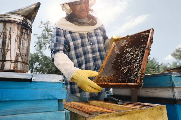 養蜂家は養蜂場の枠で飼育されています 蜂蜜の収穫 — ストック写真