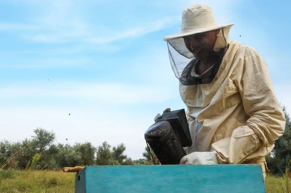養蜂家心安らぐ蜂でじんましんとともにSmokpotでApiary — ストック写真
